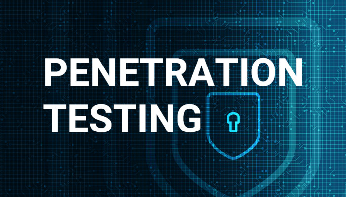 ابزارهای Penetration Testing: تسلط بر فنون حفاظت از امنیت در دنیای سایبری